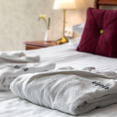 Medea By Upa 3* Druskininkai